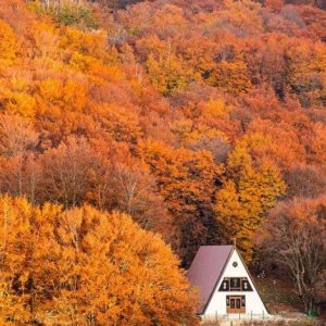 Week-end di Autunno