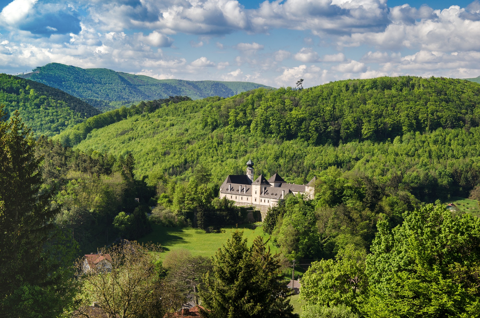 bosco-vienna-woods-3289585_1920