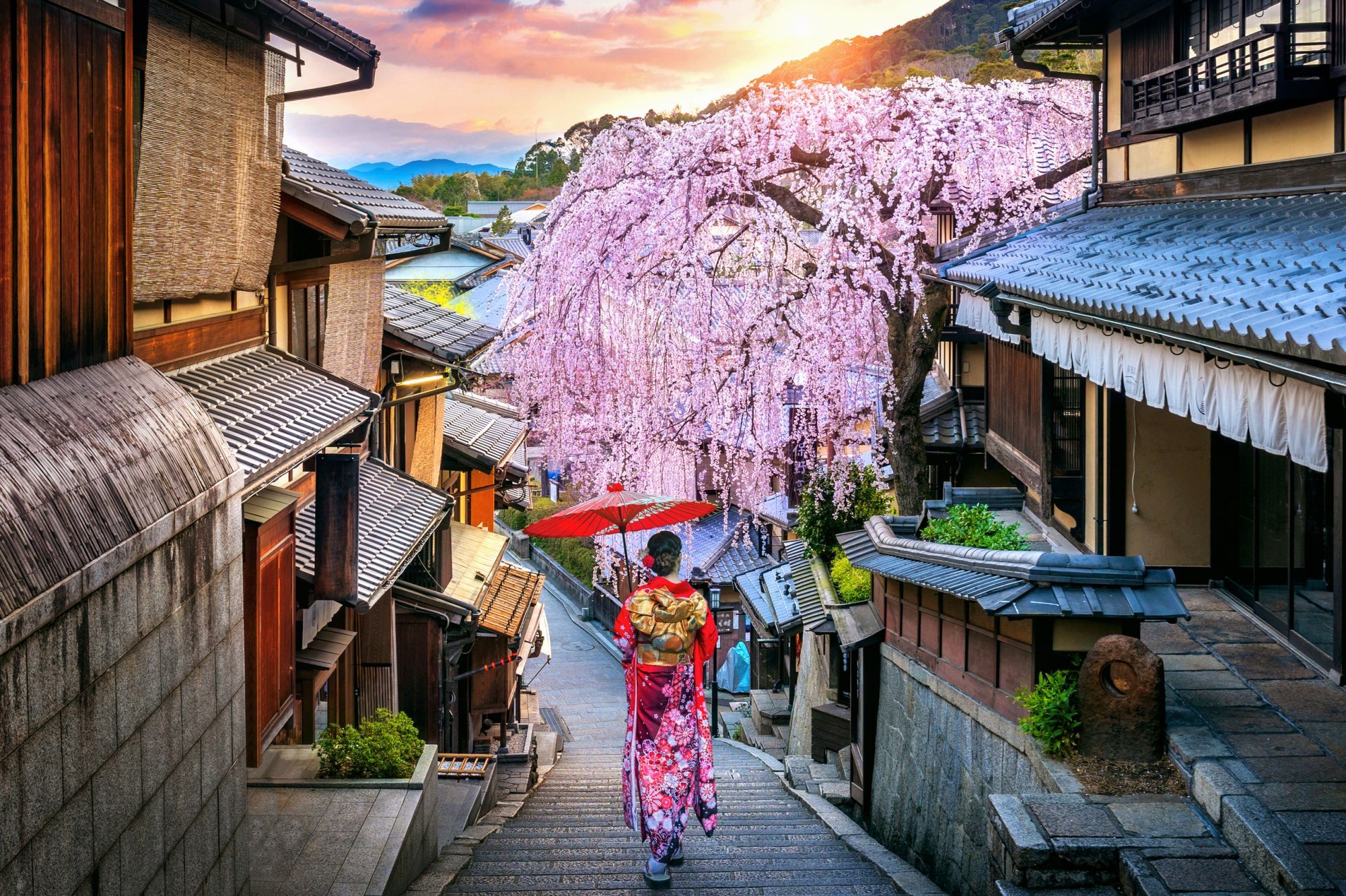 shutterstockrf-13787192061