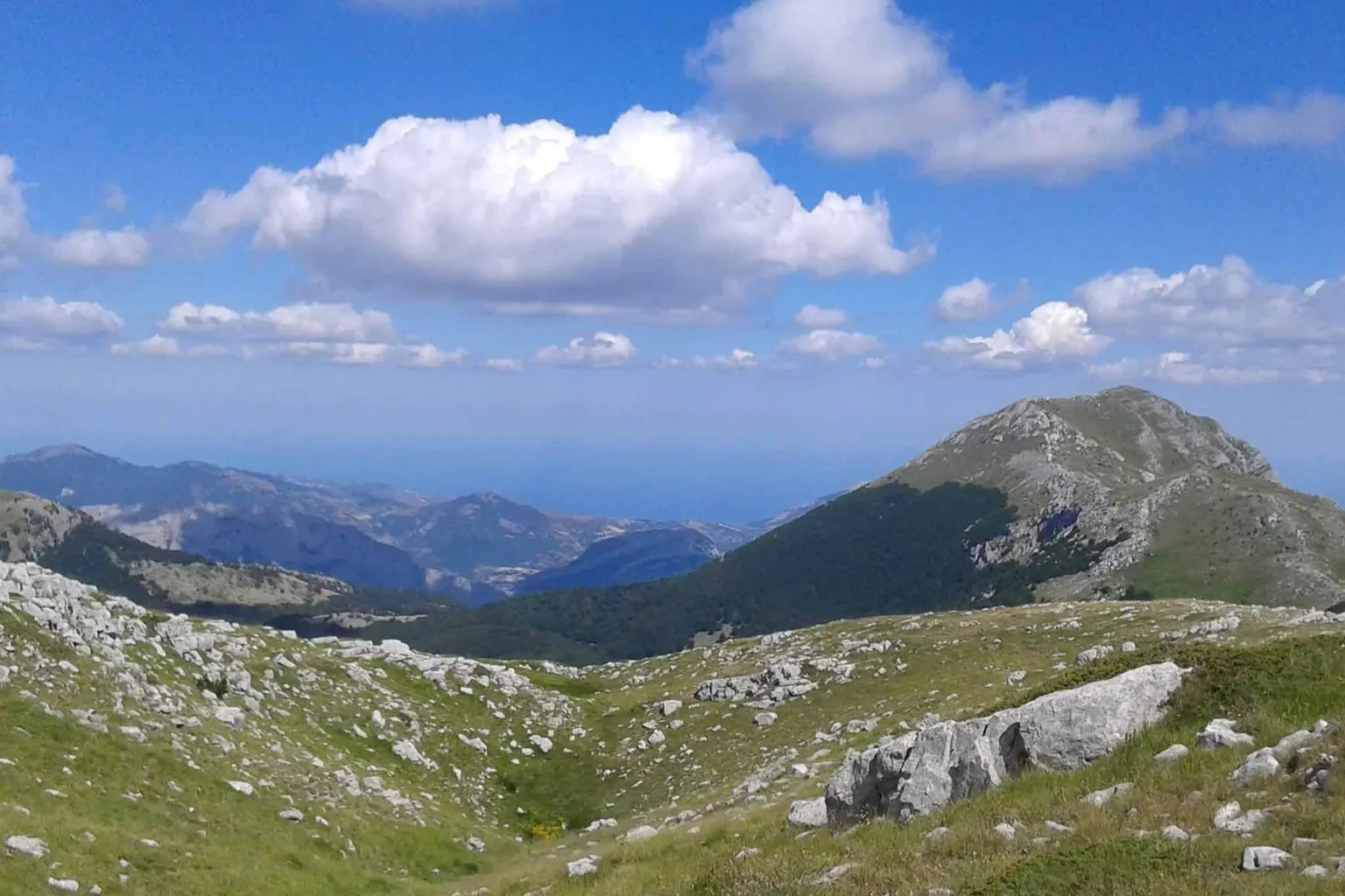 POLLINO1