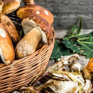 SAGRA DEI FUNGHI PORCINI - DAL 17 AL 18 OTTOBRE  2026