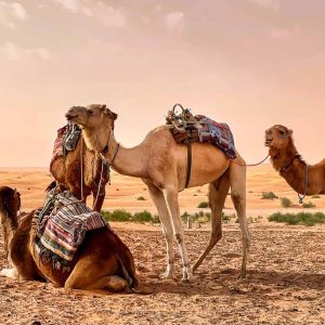 CAPODANNO IN TUNISIA - CAPODANNO 2027
