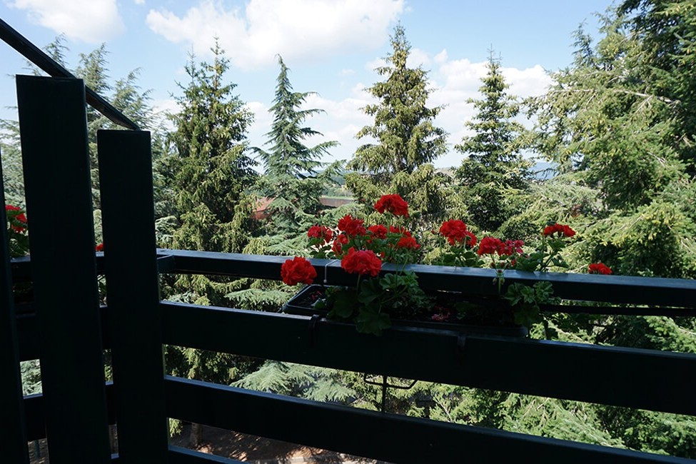 LA FATTORIA 8